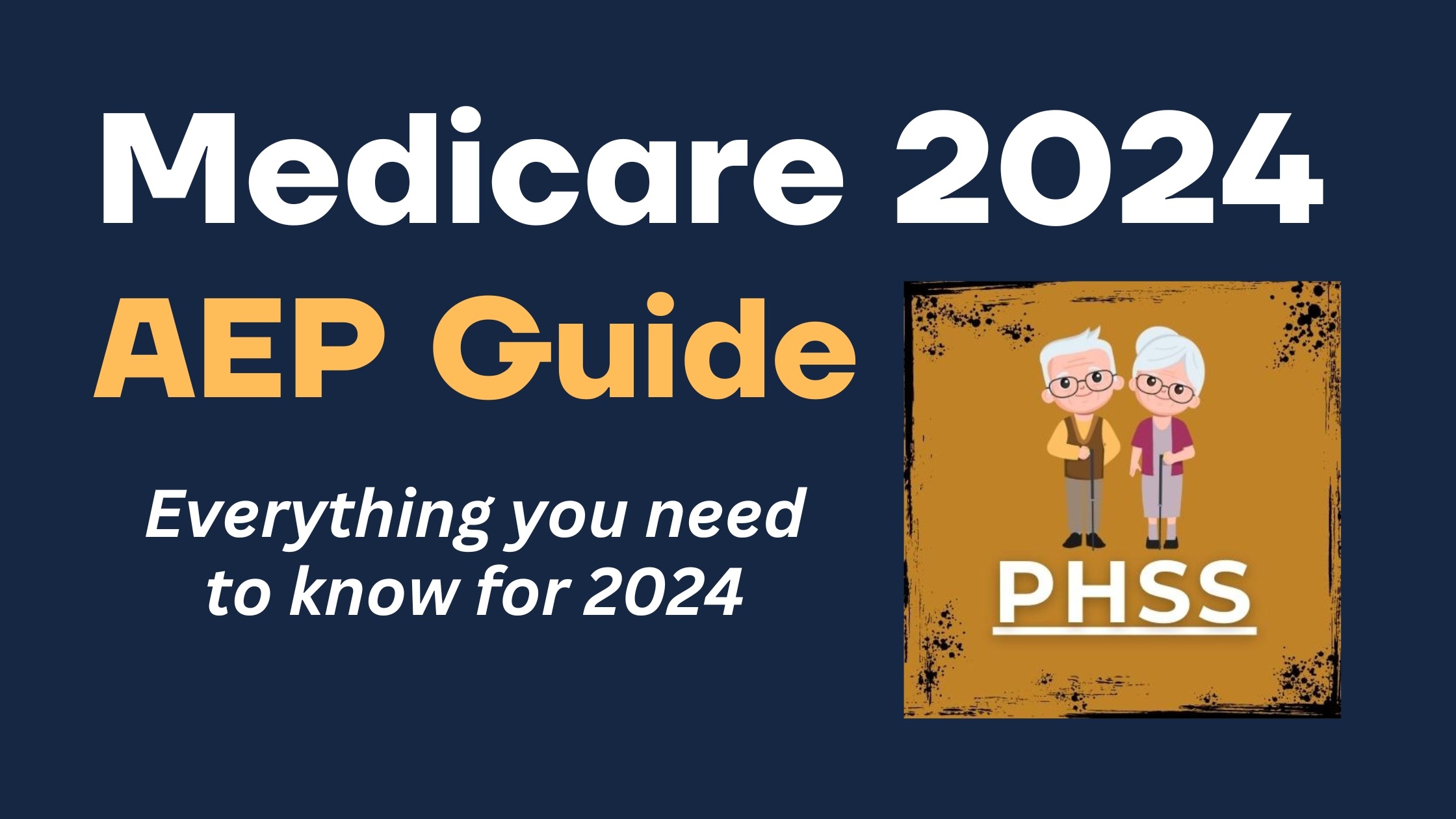 Medicare 2024 AEP Guide
