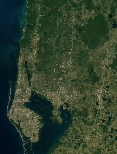 Medicare in Hillsborough County FL